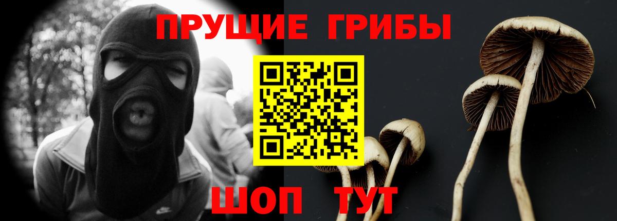 Щёлково  Псилоцибиновые грибы Psilocybe  Вход с VPN  Псилоцибиновые грибы мухоморы 